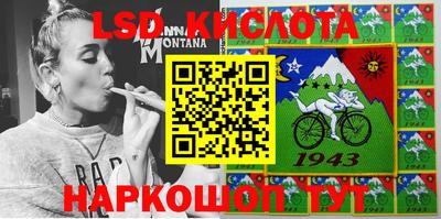 spice Кулебаки