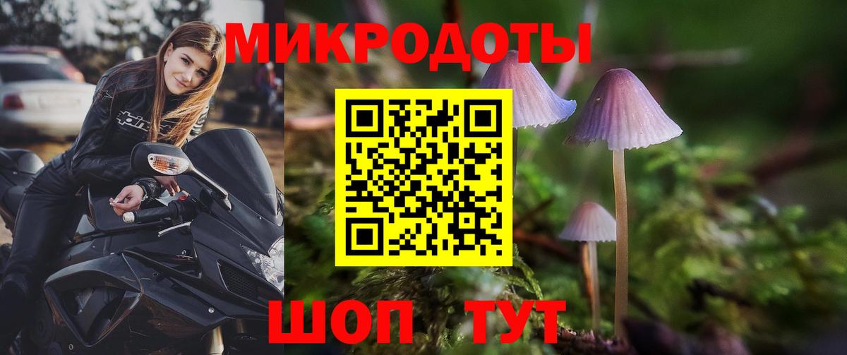 Златоуст  Галлюциногенные грибы мухоморы  Вход с VPN 